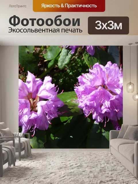 Фотообои Рододендрон