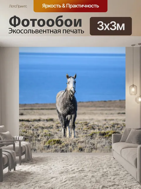 Фотообои Лошадь