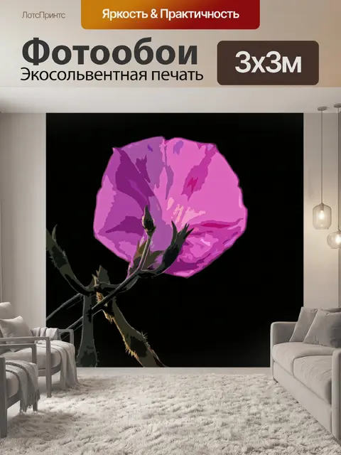 Фотообои вырезанное изображение розовой ипомеи