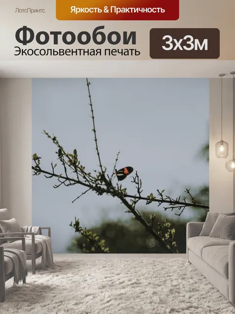 Фотообои Бабочка
