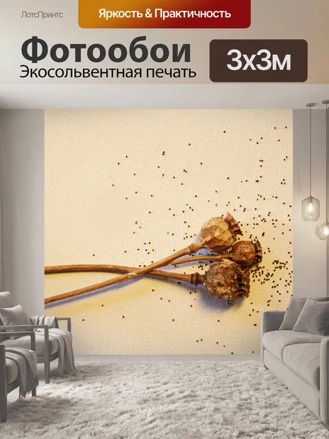 Фотообои сухой мак на поверхности холста