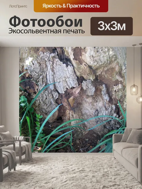 Фотообои Текстура мертвой древесины