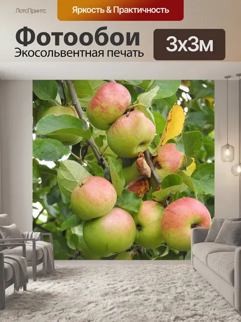 Фотообои Яблоки
