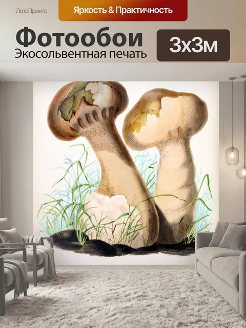 Фотообои Грибы винтаж арт старый