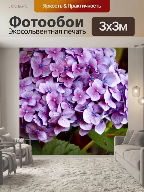 Фотообои Гортензия