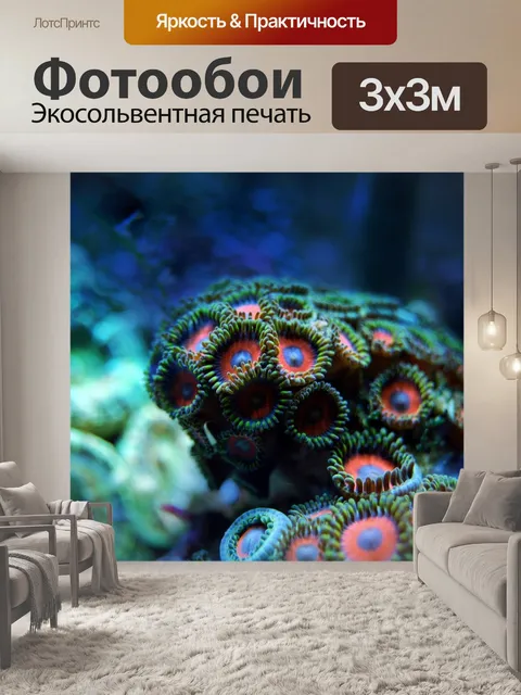 Фотообои Коралл