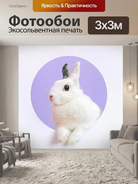 Фотообои Белый кролик