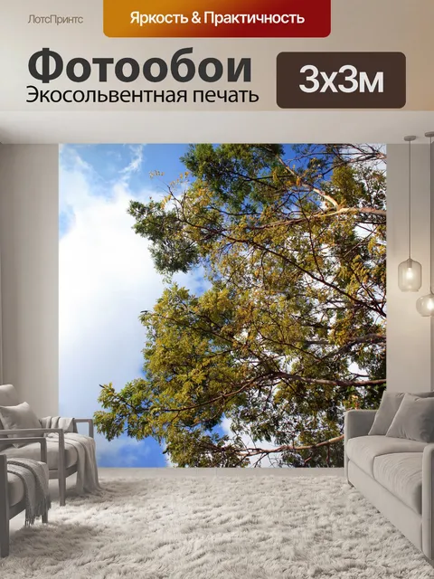 Фотообои высокий дерево