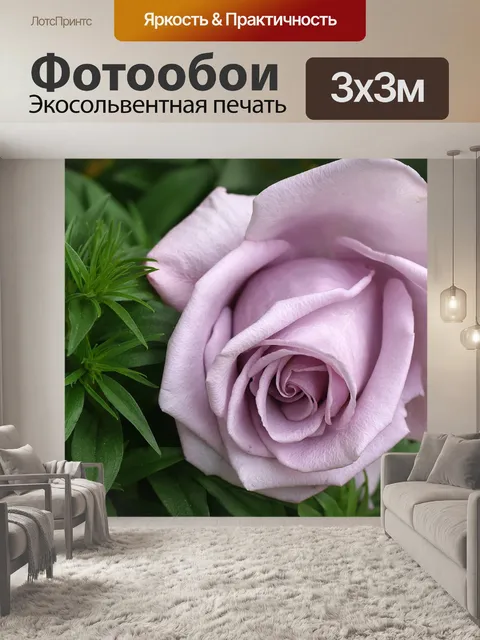 Фотообои Роза