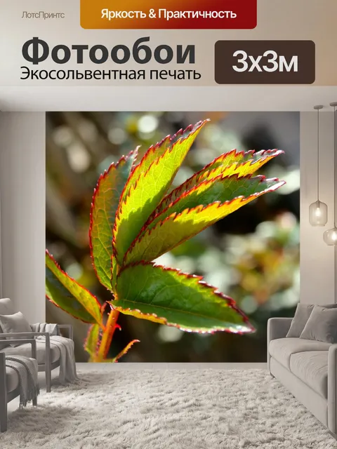Фотообои Лист