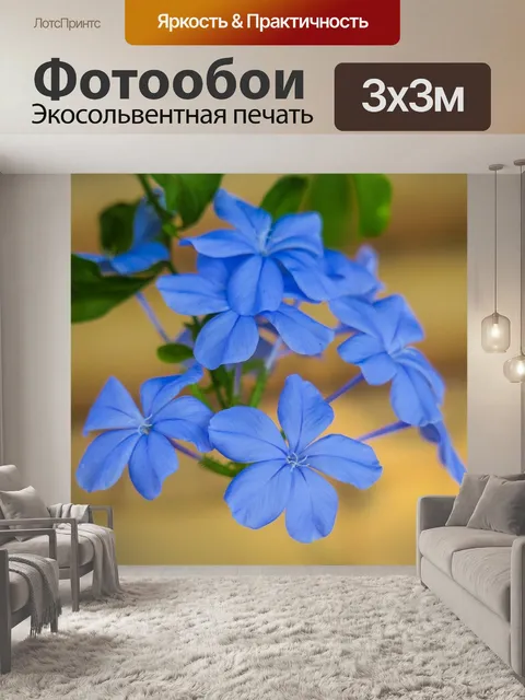 Фотообои Голубой цветок дэн