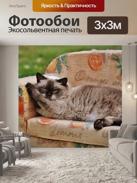 Фотообои Диван