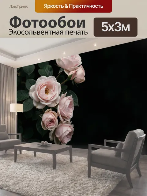 500 × 300 см · Экосольвентная печать