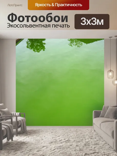 Фотообои отражение в зеленой воде