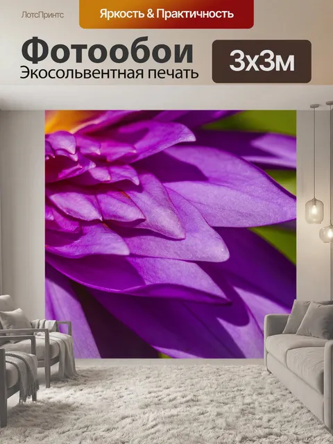 Фотообои Красивый цветок лотоса кувшинки
