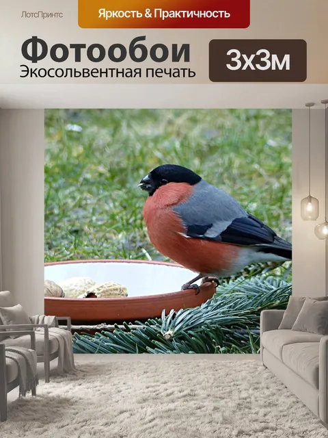 Фотообои Птица