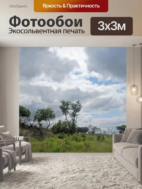 Фотообои южноафриканский пейзаж с деревьями