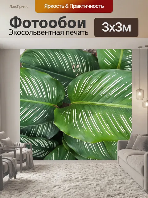 Фотообои Листва с белыми полосами