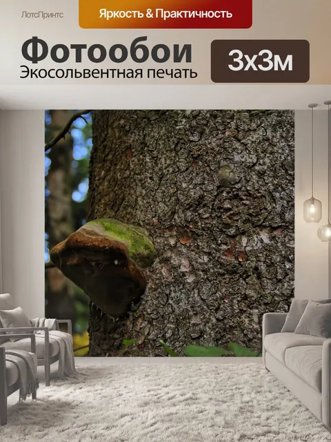 Фотообои Горы