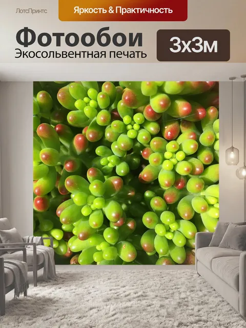 Фотообои Свежий