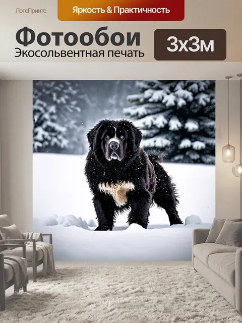Фотообои грандиозный ньюфаундленд на фоне снежного пейзажа, играя в мягком снеге