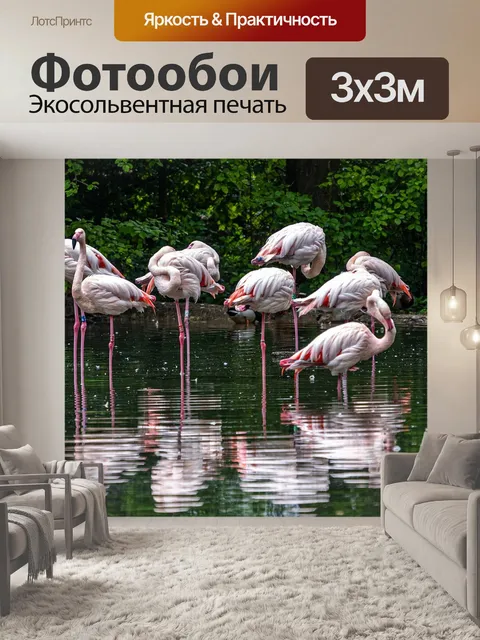 Фотообои Фламинго
