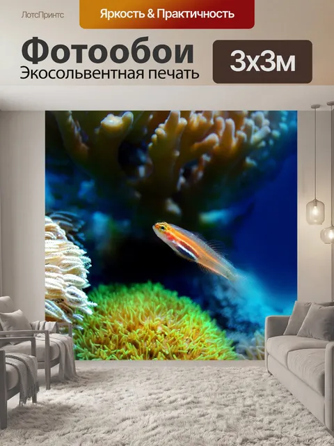 Фотообои Рыбы