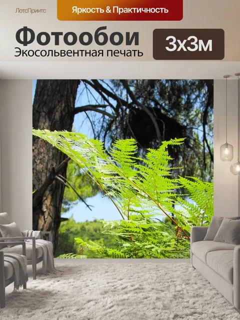 Фотообои Папоротник