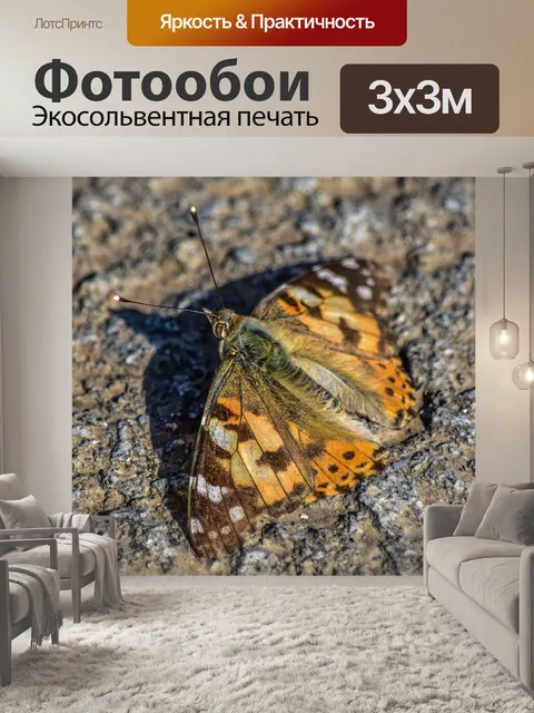 Фотообои Бабочка