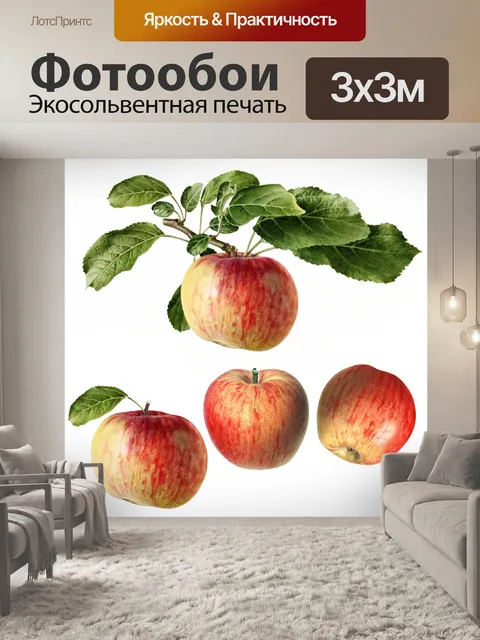 Фотообои Винтажные фруктовые иллюстрации