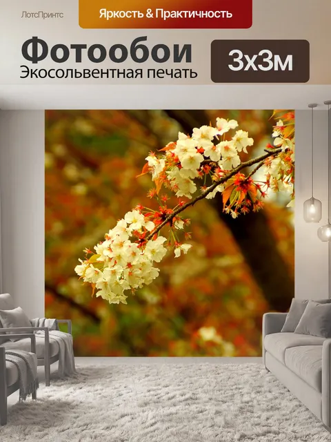 Фотообои Вишня отвлекает