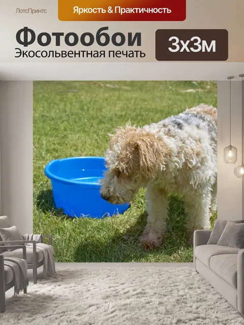 Фотообои Собака