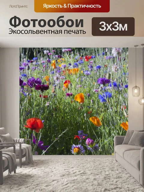 Фотообои Полевые цветы крупным планом