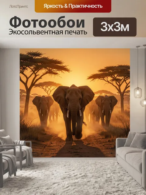 Фотообои Стадо слонов на закате