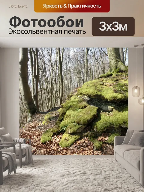 Фотообои Лес