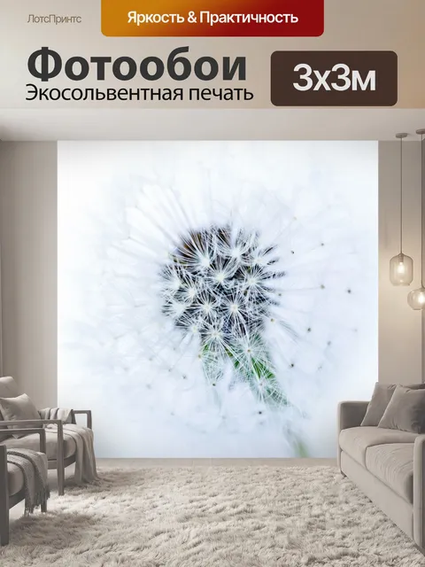 Фотообои Одуванчик на белом фоне
