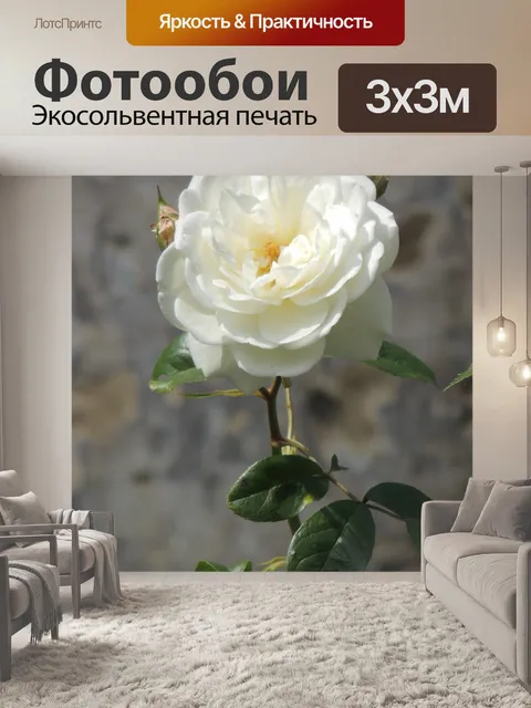 Фотообои Розовый