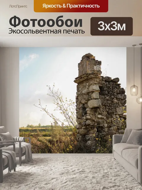 Фотообои Разорение