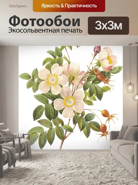 Фотообои Цветок