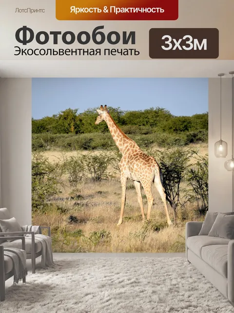 Фотообои Жирафа