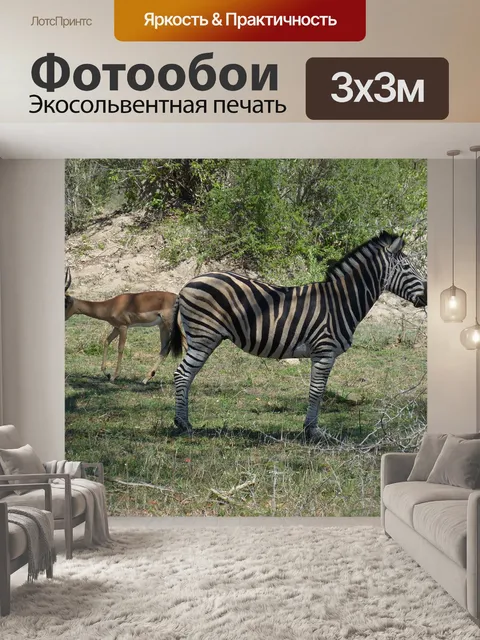 Фотообои Южная африка