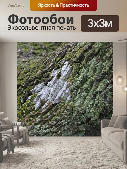 Фотообои кора дерева покрыта лишайником и мхом