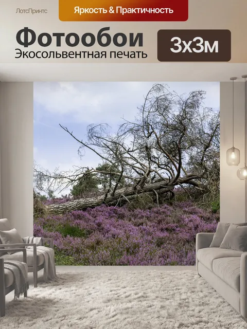 Фотообои Природа