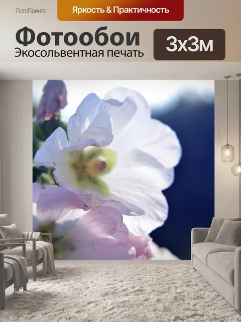 Фотообои Холлихок белые цветы 2