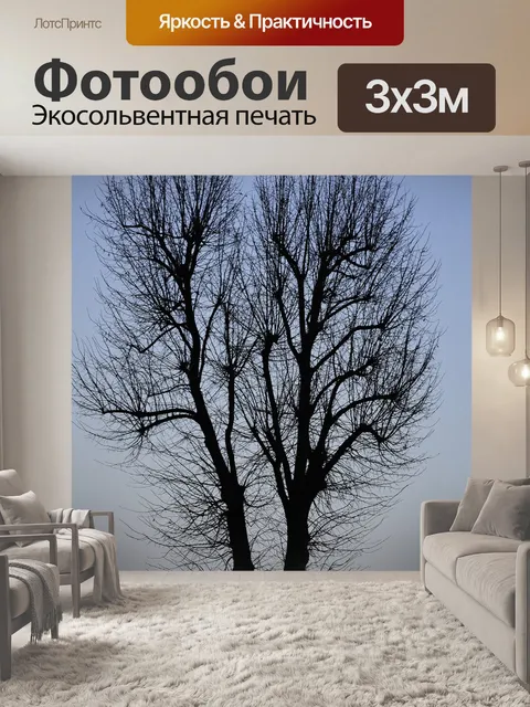 Фотообои Дерево