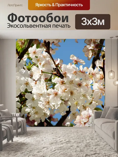 Фотообои Цветы