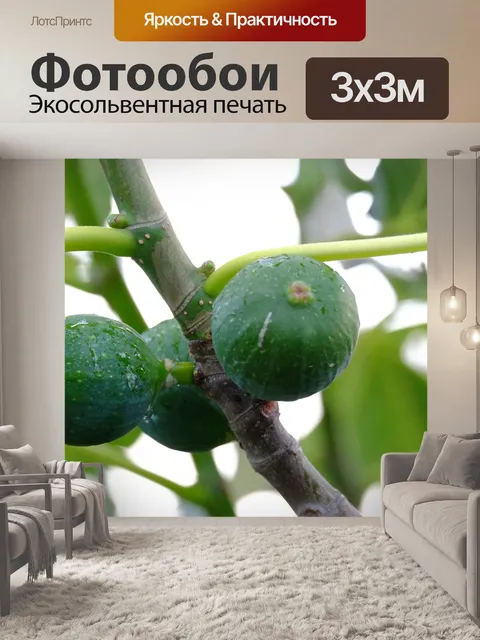 Фотообои Инжир