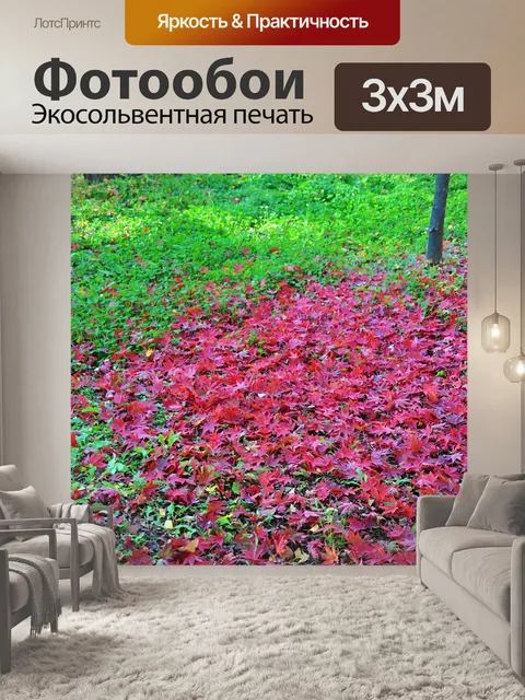 Фотообои Осенние листья
