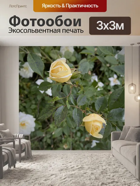 Фотообои Роза