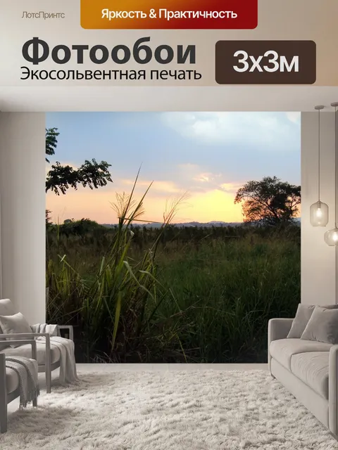 Фотообои ВС набор Шри-Ланке